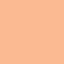 Arctic Frog - Dreamcicle 12x12 cardstock     (pack of 10)