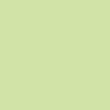 Arctic Frog - Fresh Lime Juice 12x12 cardstock  (pack of 10)
