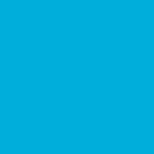 Arctic Frog - Tote Bag Blue 12x12 cardstock  (pack of 10)