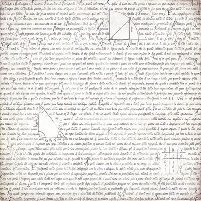 BasicGrey - Basic White - Vocab 12x12 paper  (pack of 10)