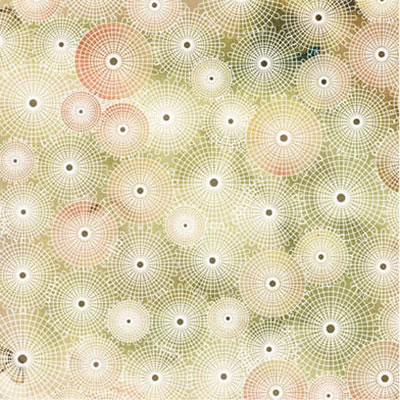 BasicGrey - Porcelain - Bellamy  (pack of 10)