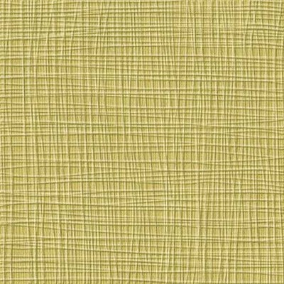 Core'dinations Cardstock - Cosmo Cricket - Core Impressions - Classics - Katydid Crisscross  (pack of 20)