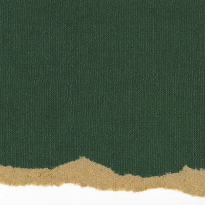 Core'dinations Cardstock - Tim Holtz - Kraft Core No.12  (pack of 20)