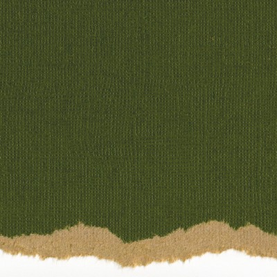 Core'dinations Cardstock - Tim Holtz - Kraft Core No.13  (pack of 20)