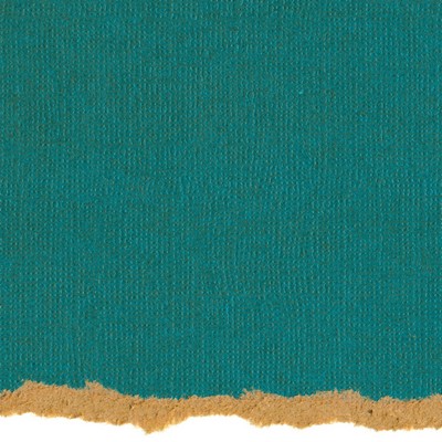 Core'dinations Cardstock - Tim Holtz - Kraft Core No.15  (pack of 20)
