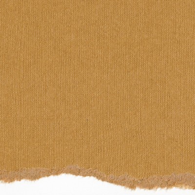 Core'dinations Cardstock - Tim Holtz - Kraft Core No.19  (pack of 20)