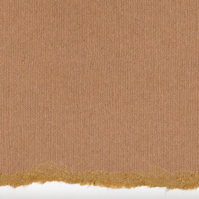 Core'dinations Cardstock - Tim Holtz - Kraft Core No.1  (pack of 20)