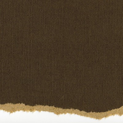 Core'dinations Cardstock - Tim Holtz - Kraft Core No.21  (pack of 20)