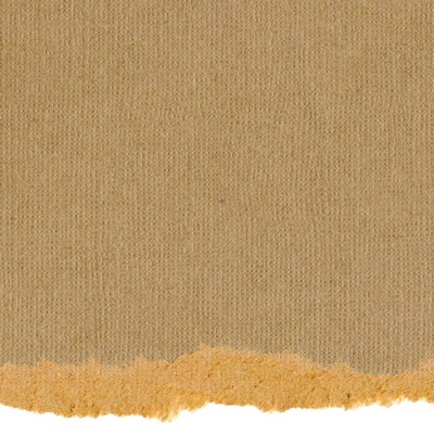 Core'dinations Cardstock - Tim Holtz - Kraft Core No.22  (pack of 20)
