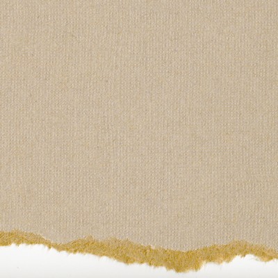 Core'dinations Cardstock - Tim Holtz - Kraft Core No.23  (pack of 20)
