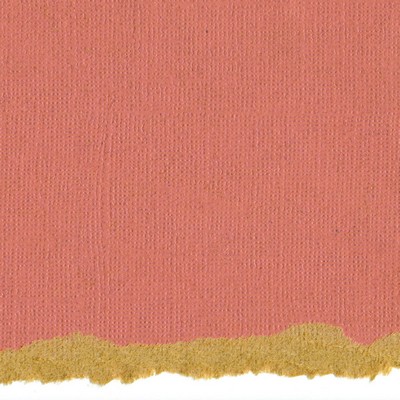 Core'dinations Cardstock - Tim Holtz - Kraft Core No.2  (pack of 20)