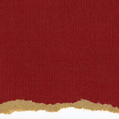 Core'dinations Cardstock - Tim Holtz - Kraft Core No.4  (pack of 20)
