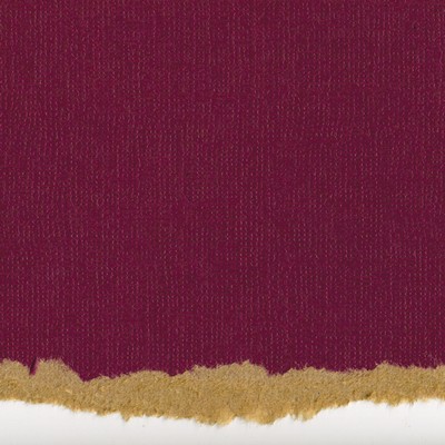 Core'dinations Cardstock - Tim Holtz - Kraft Core No.5  (pack of 20)