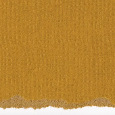 Core'dinations Cardstock - Tim Holtz - Kraft Core No.6  (pack of 20)