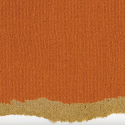Core'dinations Cardstock - Tim Holtz - Kraft Core No.7  (pack of 20)