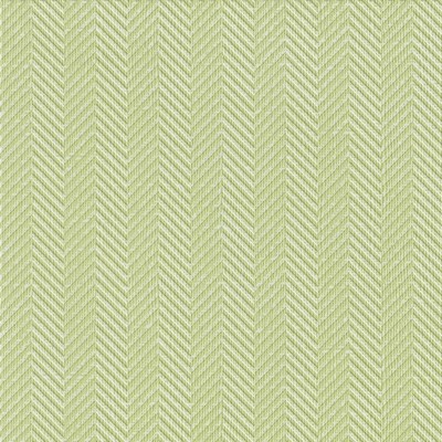 Coredinations Cardstock - Pink Paislee - Core Impressions - Modern Prints - Leapfrog Chevron  (pack of 20)