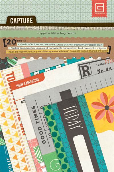 Basic Grey - Capture - Snippets (Sold in packs of 6)