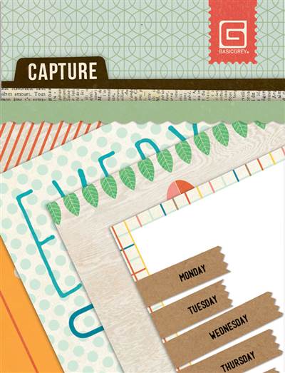 Basic Grey - Capture - Mini Snippets (Sold in packs of 6)