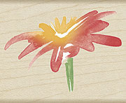 Hero Arts - Water Lily  (sold individually)