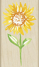 Hero Arts - Watercolour Sunflower  (sold individually)