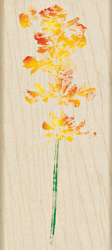 Hero Arts - Real Salvia  (sold individually)