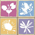 Hero Arts - Quatros Flower Blocks  (sold individually)