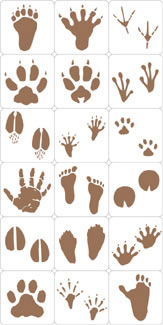 Hero Arts - Ink N Stamp Animal Prints  (sold individually)