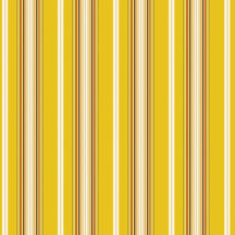 Heidi Grace - Daisy - Pinstripe 12x12 d/sided paper  (pack of 10)