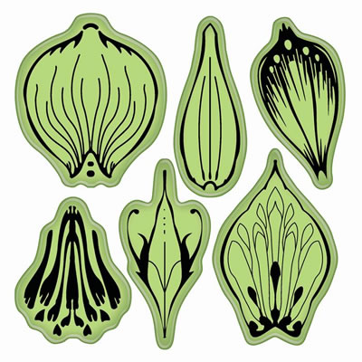 Inkadinkado - Stamping Gear - Flower Petals 4x6 Cling Stamps  (sold individually)
