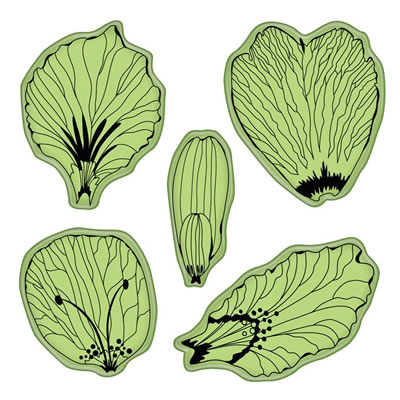 Inkadinkado - Stamping Gear - Floral Impressions 4x4 Cling Stamps  (sold individually)