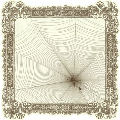 Pink Paislee - Hocus Pocus  Spiders Lair 12x12 die cut paper (pack of 5)