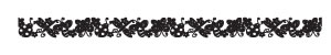 Queen & Co - Felt Fusion 1x11.5" self adhesive border - Bugs Black  (sold in 3's)