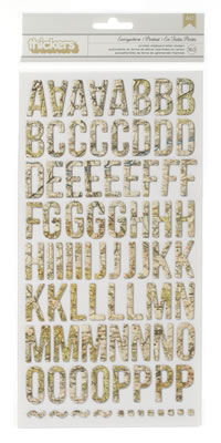 Studio Calico - Abroad - Printed Chipboard Thickers - Everywhere - Map  (sold in 3's)