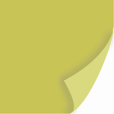 SEI Dill Blossom Pesto Solid Textured 12x12 Cardstock  (pack of 10)