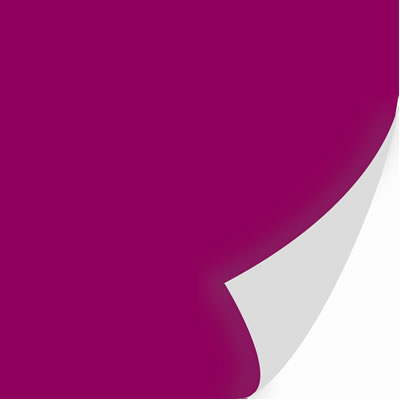Jolie Chocolat Raisine textured cardstock  (packof 10)