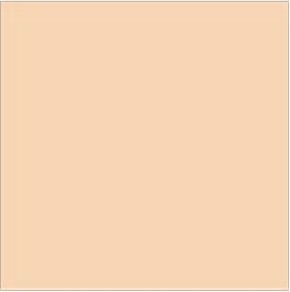 SEI - Creamsicle 12x12 solid cardstock paper  GGal (pack of 10)