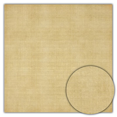 Sassafras Lass - Winter Wonder  Chai Tea 12x12 patterned paper     (pack of 10)