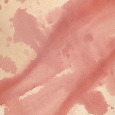 Scenic Route Paper Co - Coral Splash  (pack of 10)