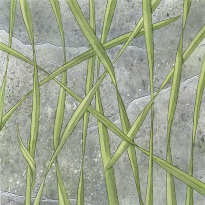 Scenic Route Paper Co - Grass Wall  (pack of 10)