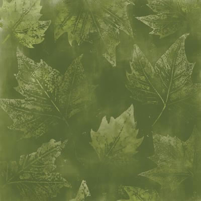 Scenic Route Paper Co - Leaf Memory  (pack of 10)