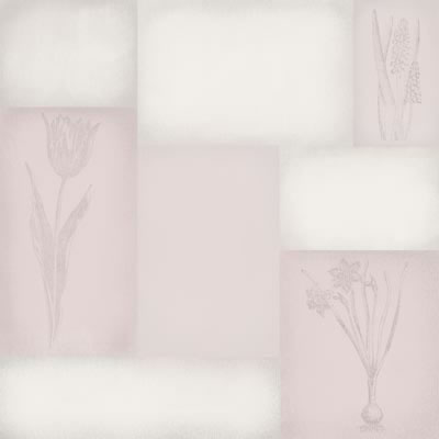 Scenic Route Paper Co - Granite Spring  (pack of 10)