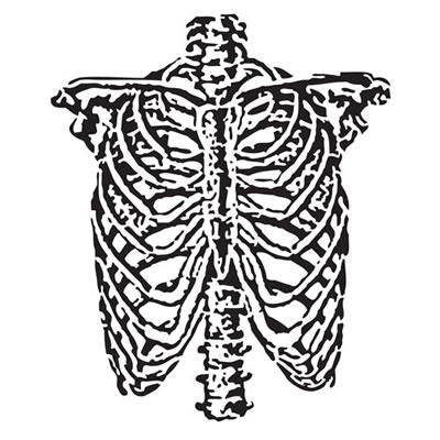 The Crafters Workshop - 12x12 Template - Ribcage  (sold in 3's)