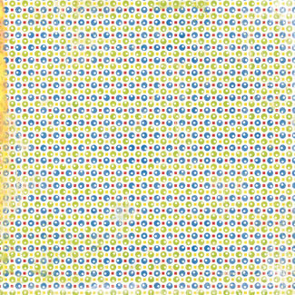 Paper Loft - Holy Polka Dots 12x12 cardstock  (pack of 10)