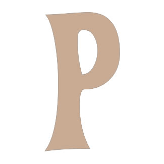 Twiddleybitz - Letter P for Box Set 20/pk. Size approx 6cm high.  (sold individually)