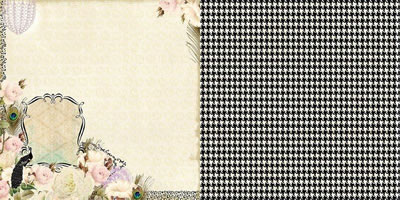Hollywood Vogue - Feather Fashion 12x12 d/sided paper  (pack of 10)
