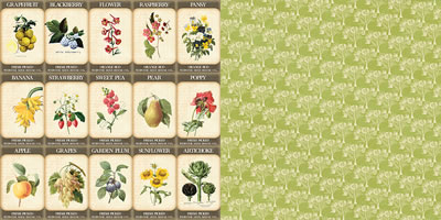 Websters Pages - Spring Market - Gardener's Seeds 12x12 d/sided paper  (pack of 10)