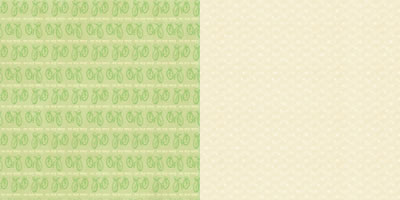 Websters Pages - Sunday Picnic - Pedal Pushers 12x12 d/sided paper  (pack of 10)