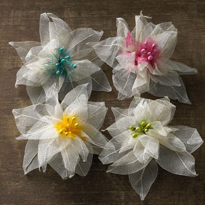Websters Pages - Pinwheels Florettes 4pc  (sold in 3's)