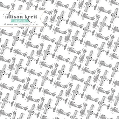 Websters Pages - Composition & Colour - Plane Overlay  (pack of 5)