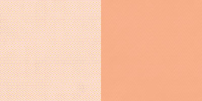 Websters Pages - Palm Beach - Sherbert 12x12 d/sided paper  (pack of 10)